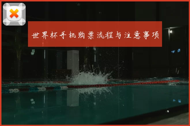 世界杯手机购票流程与注意事项