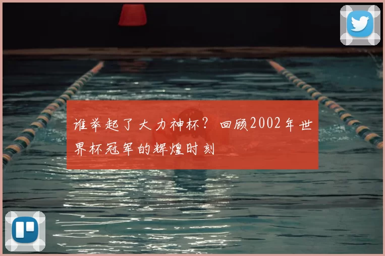 谁举起了大力神杯？回顾2002年世界杯冠军的辉煌时刻