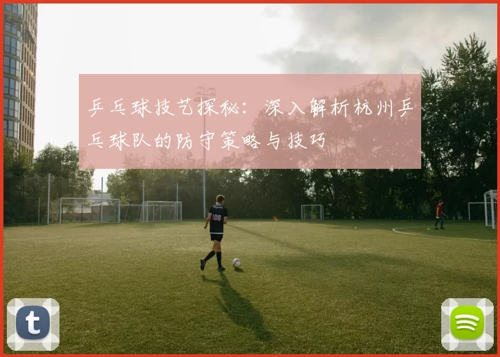 乒乓球技艺探秘:深入解析杭州乒乓球队的防守策略与技巧