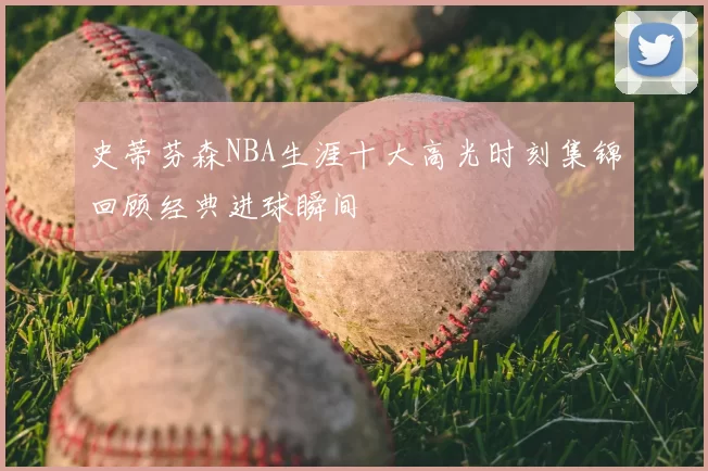 史蒂芬森NBA生涯十大高光时刻集锦回顾经典进球瞬间