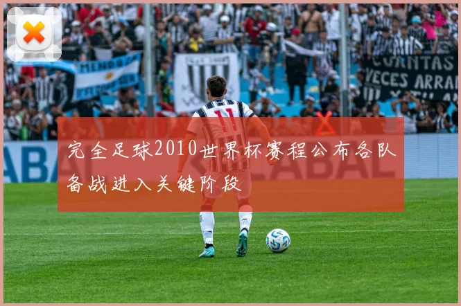 完全足球2010世界杯赛程公布各队备战进入关键阶段
