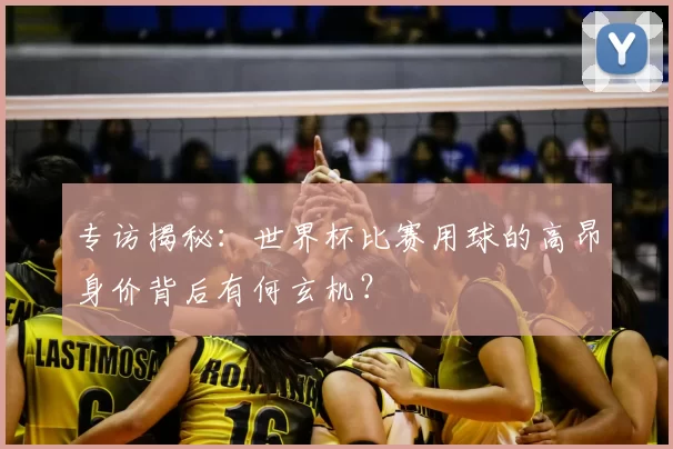 专访揭秘:世界杯比赛用球的高昂身价背后有何玄机?