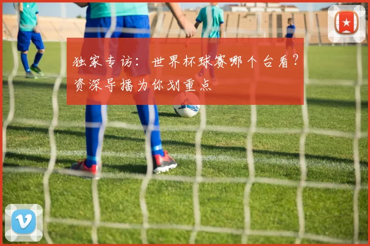 独家专访：世界杯球赛哪个台看？资深导播为你划重点