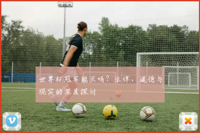 世界杯冠军能买吗？法律、道德与现实的深度探讨