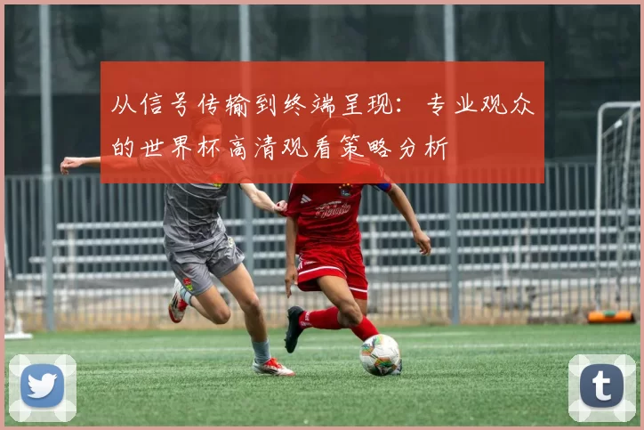 从信号传输到终端呈现：专业观众的世界杯高清观看策略分析