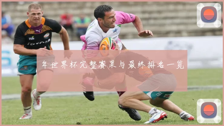 年世界杯完整赛果与最终排名一览