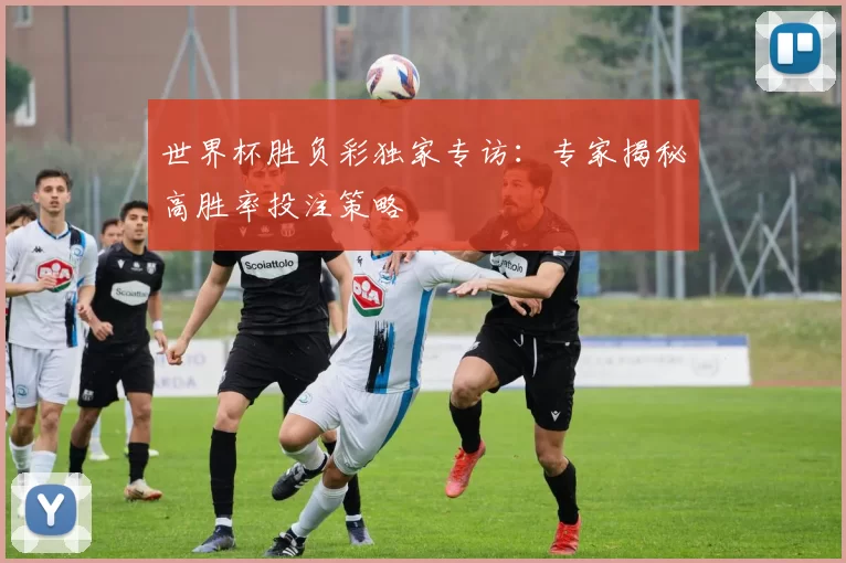 世界杯胜负彩独家专访：专家揭秘高胜率投注策略